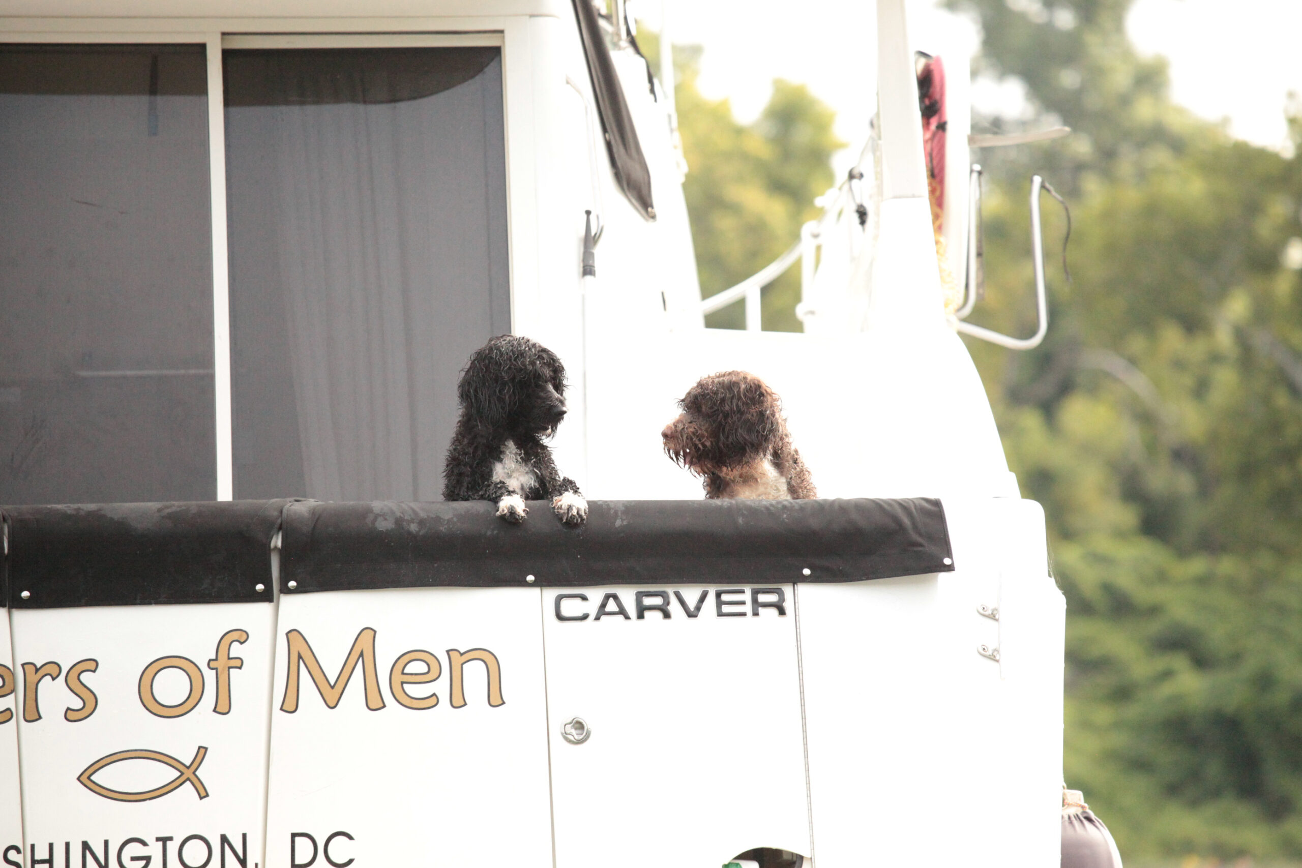 Capitol Marina O Bela Luar