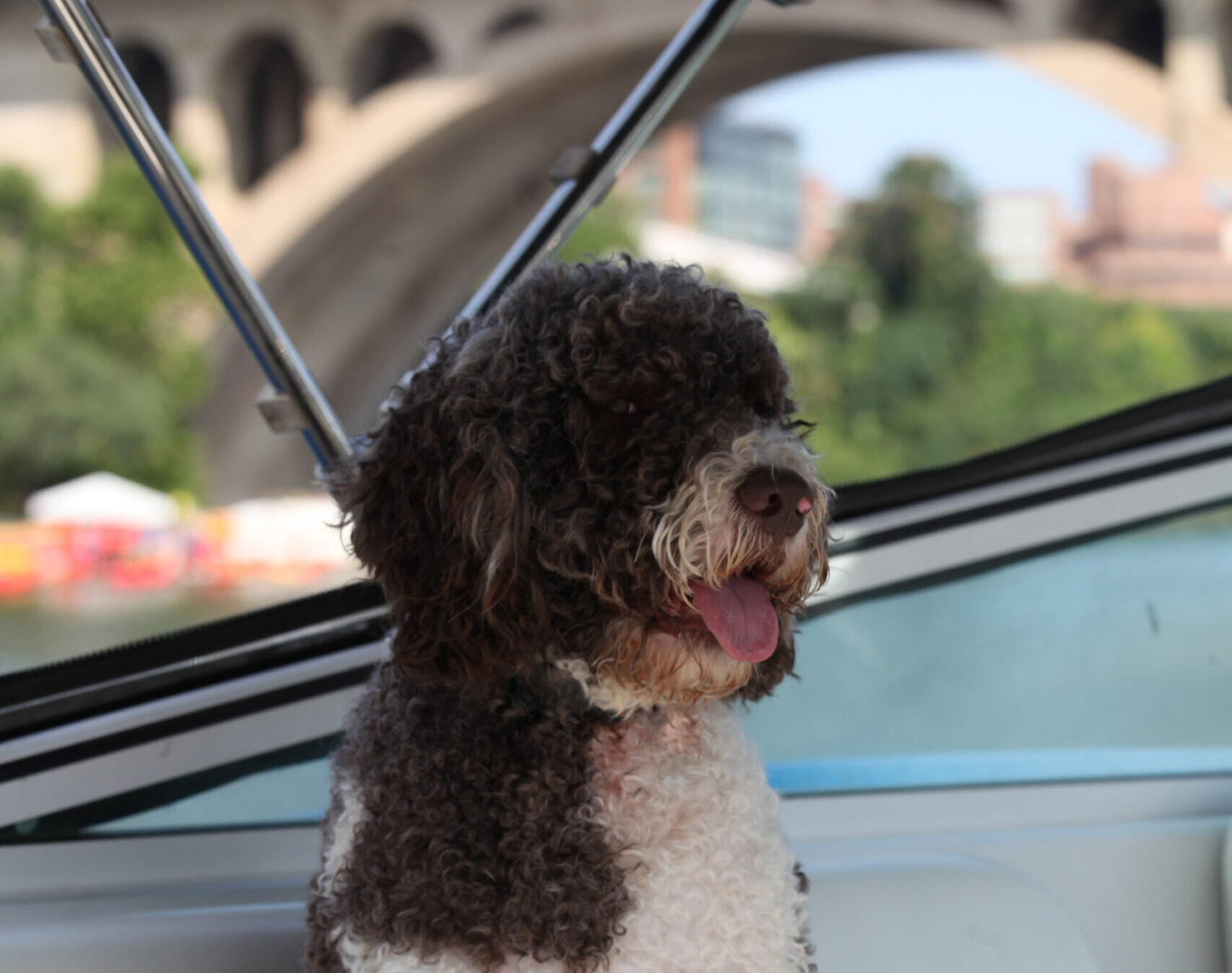 Capitol Jacques O Brincalhão