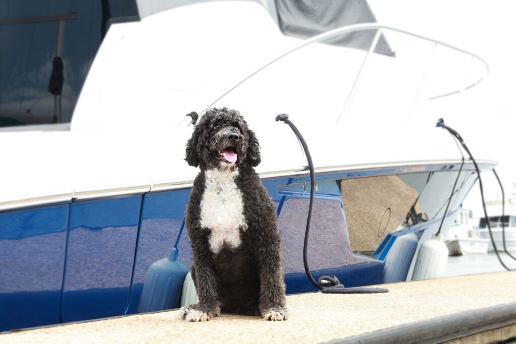 Alistair edited copy