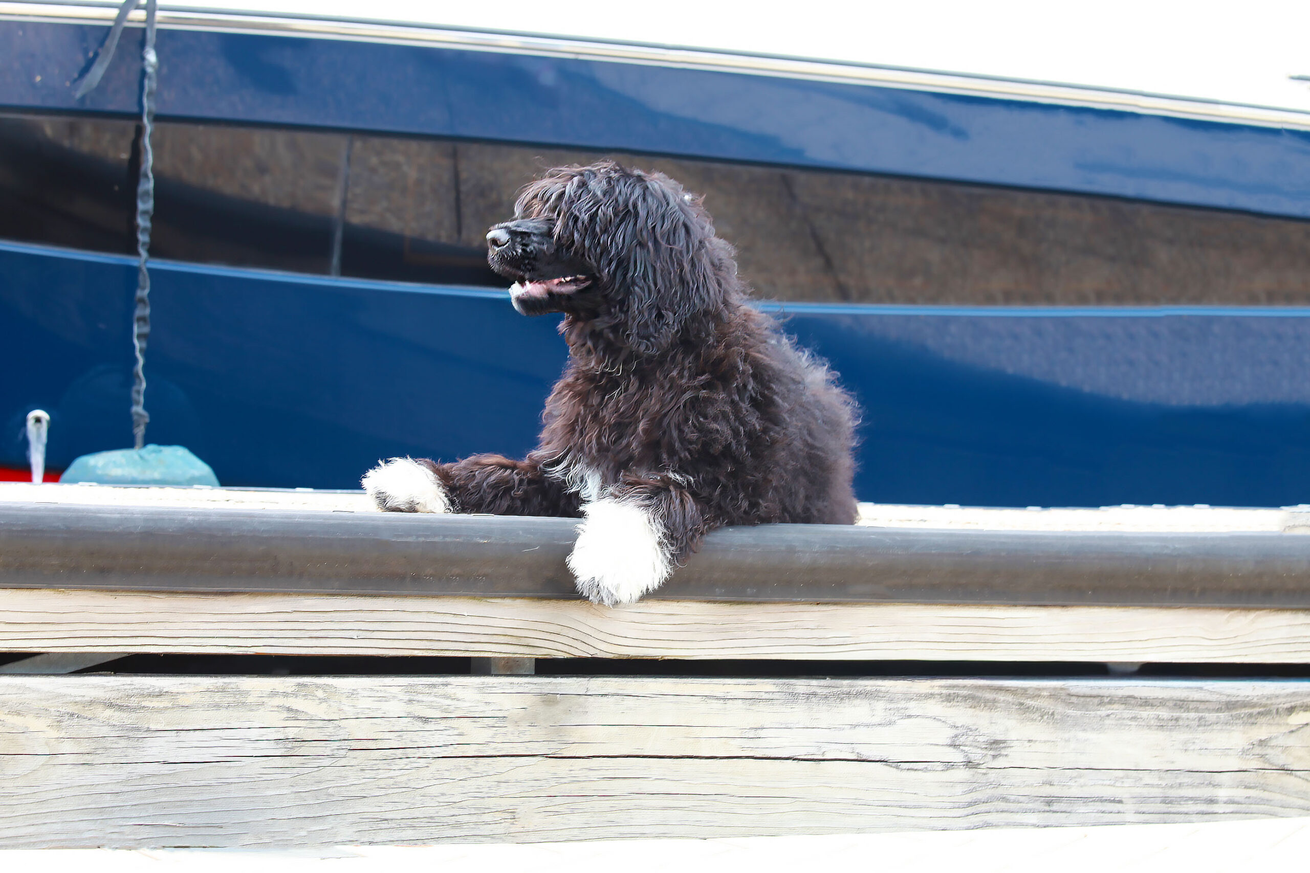 Capitol Virginia O Aluna De Rainha