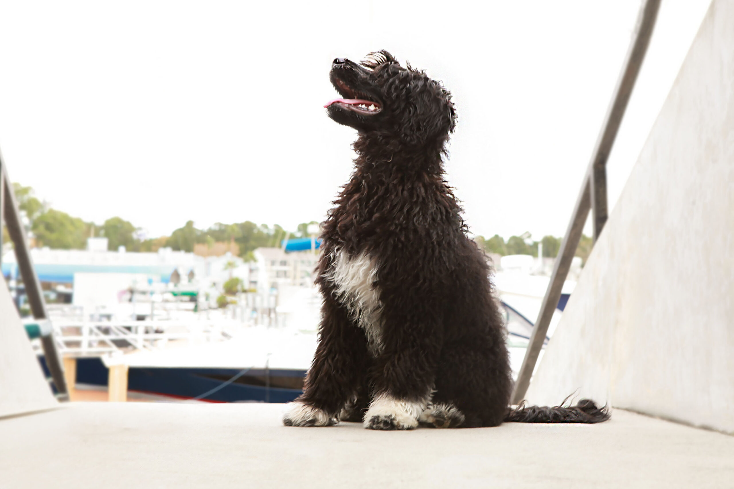 Capitol Virginia O Aluna De Rainha