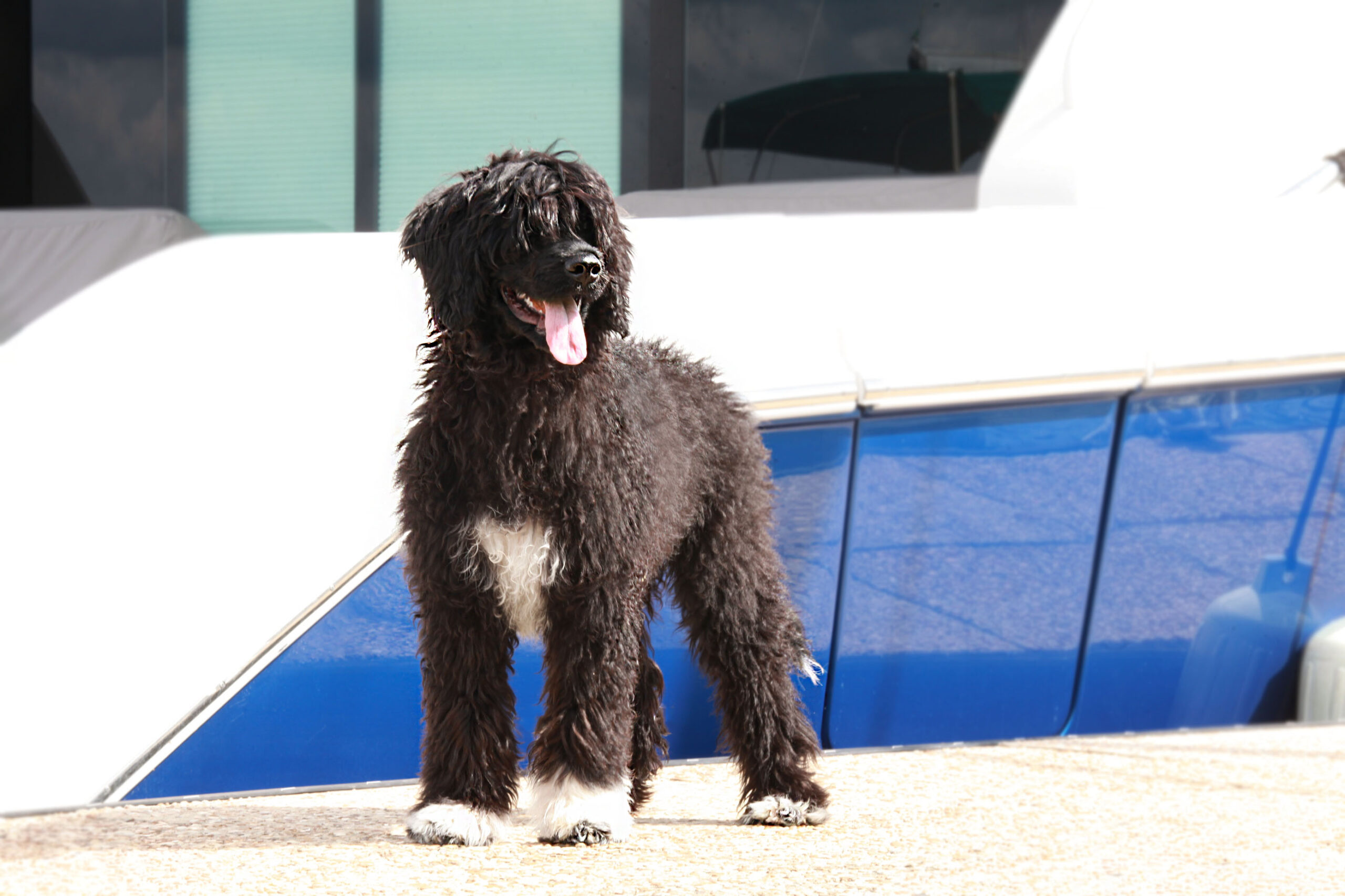 Capitol Virginia O Aluna De Rainha